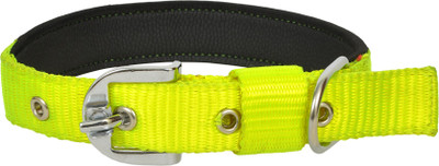 

Leather Craft Dog Everyday Collar(, Neon