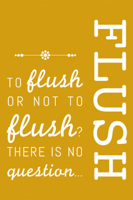 Flush poster Paper Print(18 inch X 12 inch, Rolled)