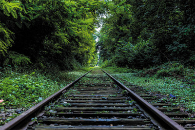 

nature-forest-industry-rail Poster Paper Print(18 inch X 12 inch, Rolled)