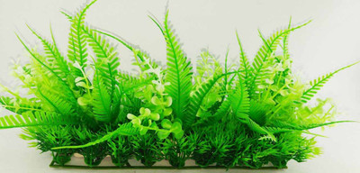 

XINYOU ColourfulShop® Aquarium Artificial / Plastic Plant for Decoration | Suitable for both Fresh and Salty water | 25 x 15 x 6 cm | #1842 Aquarium Plant Anchor({Plant Anchors1)