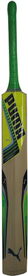 

Puma Evo Speed 2. Chromium Kashmir Willow Cricket Bat(1.100 kg
