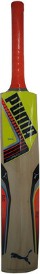 Puma Evo Speed 1 XE Kashmir Willow Cricket Bat(1.120 kg