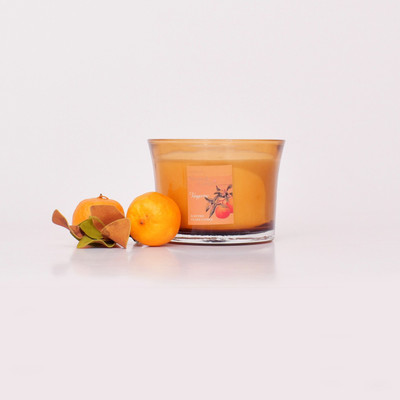 

MAEVA TANGERINE FLARED GLASS SCENTED CANDLE Candle(White, Pack of 1)