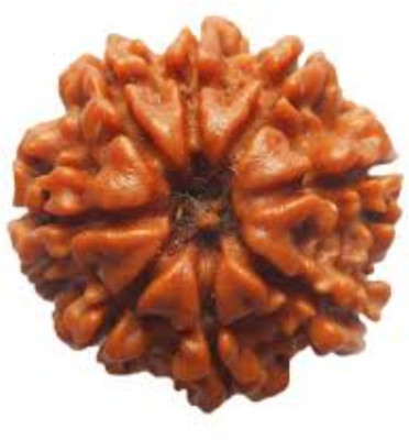 AJ 100% Original Eight Face Rudraksha Pendant (8 Mukhi Rudraksh Pendant) Silk Dori Pendant available at flipkart for Rs.599