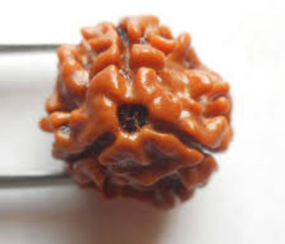 AJ 3 Mukhi Rudraksha Pendant - Original With Lab Certification Silk Dori Pendant