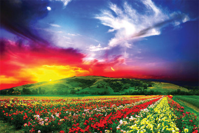 

Beautiful view1 Poster Paper Print(18 inch X 12 inch, Rolled)