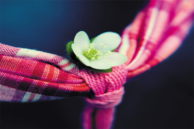 

Little Flower ilike Poster Paper Print(18 inch X 12 inch, Rolled)