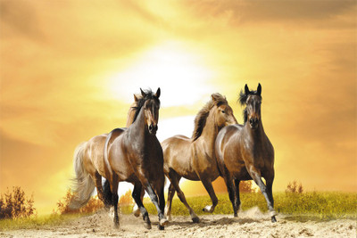 

4 horse poster4 Poster Paper Print(18 inch X 12 inch, Rolled)