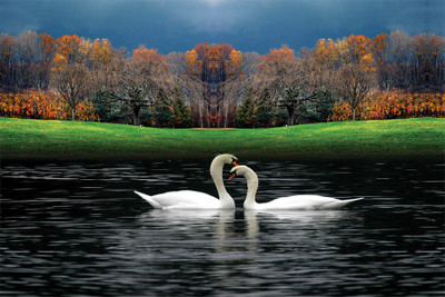 

beautiful nature6 Poster Paper Print(18 inch X 12 inch, Rolled)