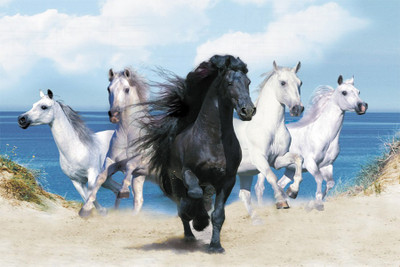 

5 horse poster5 Poster Paper Print(18 inch X 12 inch, Rolled)