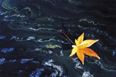 

other-floating-welcome-autumn-…images Poster Paper Print(18 inch X 12 inch, Rolled)