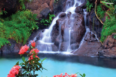 

beautiful-waterfall-and-pink-flowers. Poster Paper Print(18 inch X 12 inch, Rolled)