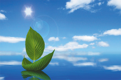 

BEAUTYFUL nature Poster Paper Print(18 inch X 12 inch, Rolled)
