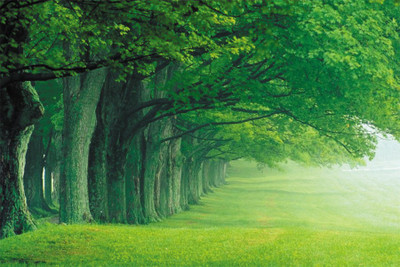 

beautyful pictures-of-nature-hd-…round Poster Paper Print(18 inch X 12 inch, Rolled)