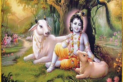 

sri-krishna-poster Poster Paper Print(18 inch X 12 inch, Rolled)