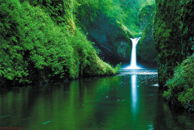 

nature-background-wallpaper. Poster Paper Print(18 inch X 12 inch, Rolled)