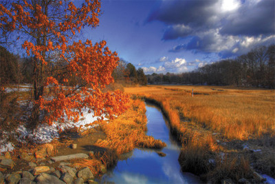 

nature-riviere-paysage POSTER. Poster Paper Print(18 inch X 12 inch, Rolled)