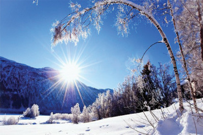 

amezing beautyfull Sunlit-winter…dscape Poster Paper Print(18 inch X 12 inch, Rolled)
