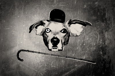 

the-buddie-chaplin. Poster Paper Print(18 inch X 12 inch, Rolled)