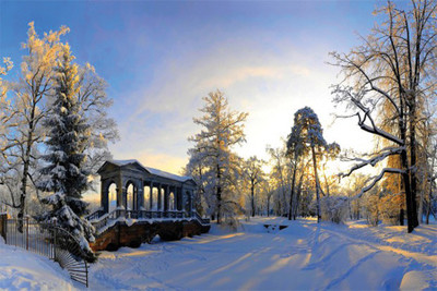 

a beautyfull nature winter picture Poster Paper Print(18 inch X 12 inch, Rolled)