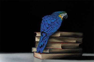 

parrot books blue Poster Paper Print(18 inch X 12 inch, Rolled)
