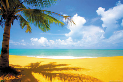 

BEAUTYFUL nature-plage Poster Paper Print(18 inch X 12 inch, Rolled)
