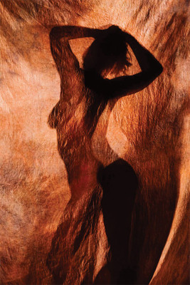 

Shadow Dancing-55 Poster Paper Print(18 inch X 12 inch, Rolled)