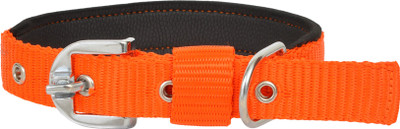 

Leather Craft Dog Everyday Collar(, Orange