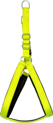 

Leather Craft Dog Standard Harness(, Green