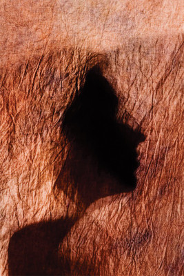 

Shadow Dancing-21 Poster Paper Print(18 inch X 12 inch, Rolled)