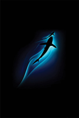 

shark. Poster Paper Print(18 inch X 12 inch, Rolled)