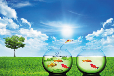 

NatureTwo-bowls-having-water-i…nd fish Poster Paper Print(18 inch X 12 inch, Rolled)