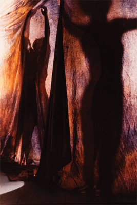 

Shadow Dancing-64 Poster Paper Print(18 inch X 12 inch, Rolled)