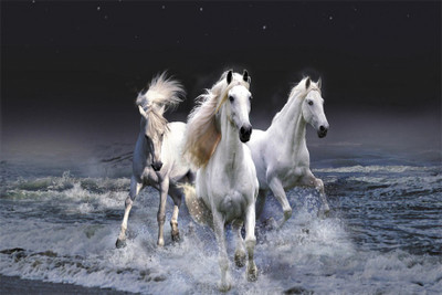 

3 horse poster2 Poster Paper Print(18 inch X 12 inch, Rolled)