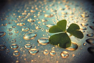 

rain-drops Poster Paper Print(18 inch X 12 inch, Rolled)