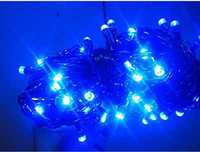 Ascension 55 LEDs 10 m Blue Steady String Rice Lights(Pack of 4)