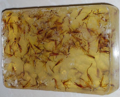 

Callista Safflower(100 g)