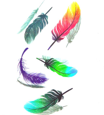 

gemmas fashion(Colorful Feathers)
