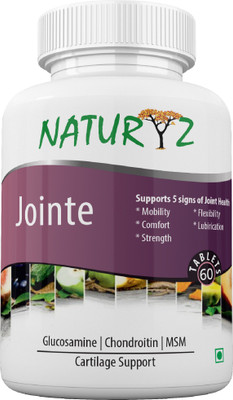 NATURYZ Jointe With 1500Mg Glucosamine, 400Mg Chondroitin & 400Mg Msm for Joint Support(1500 mg) NATURYZ Jointe With 1500Mg Glucosamine, 400Mg Chondroitin & 400Mg Msm for Joint Support(1500 mg)