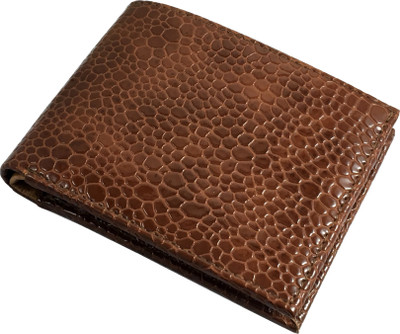 

SA Enterprises Girls Brown, Black Artificial Leather Wallet(4 Card Slots), Black;brown
