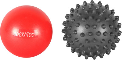 

COCKATOO hot/cold Massage Ball(Pack of 2, Multicolor)