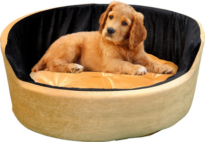 

Shaurya Large Dog, Cat House