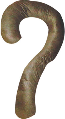

Comfort Pillow Solid Pregnancy Pillow Pack of 1(Brown)