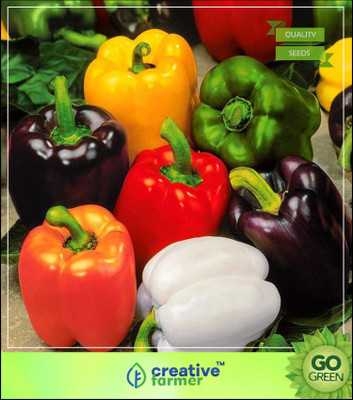 

Creative Farmer Sweet Bell Pepper Seeds Seed(20 per packet)