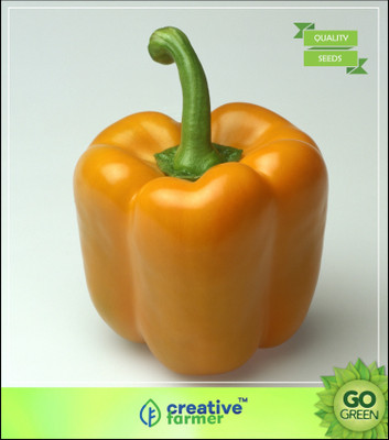 

Creative Farmer Chilli Capsicum Seed(20 per packet)