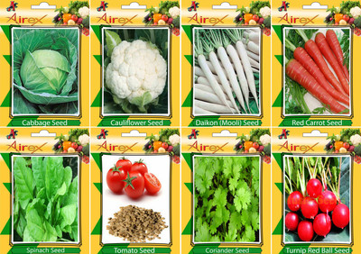 

Airex Cabbage, Cauliflower, Daikon, Red Carrot, Spinach, Tomato, Coriander, and Turnip Red Ball Seed(20 per packet)