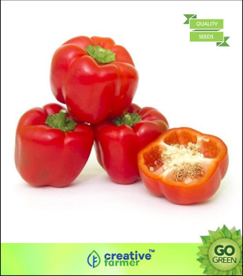 

Creative Farmer Capsicum peppers seeds Seed(20 per packet)