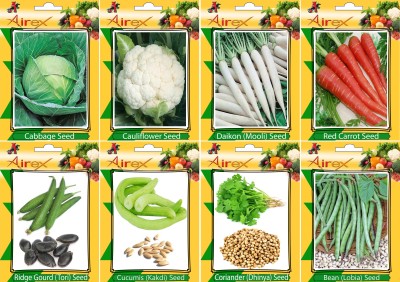 Airex Cabbage, Cauliflower, Daikon, Red Carrot, Ridge Gourd, Cucumis, Coriander, and Lobia (Bean) Seed(20 per packet)