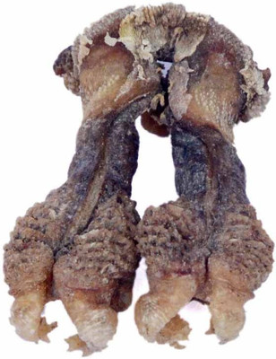 41 Off On Mnaonline Hatha Jodi 4 Showpiece 4 Cm Wooden Brown On Flipkart Paisawapas Com Hatha jodi hata jori hast jodie hatha jodi. mnaonline hatha jodi 4 showpiece 4 cm wooden brown