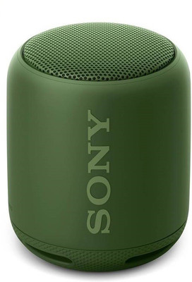 

Sony SRS-XB10 10 W Portable Bluetooth Speaker(Green, Mono Channel)